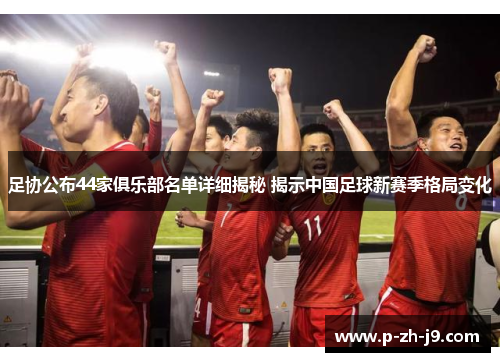 足协公布44家俱乐部名单详细揭秘 揭示中国足球新赛季格局变化