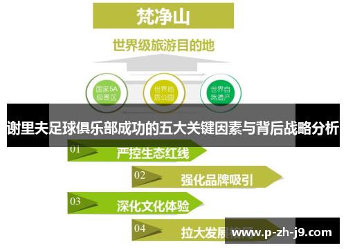 谢里夫足球俱乐部成功的五大关键因素与背后战略分析 谢里夫足球俱乐部成功的五大关键因素与背后战略分析