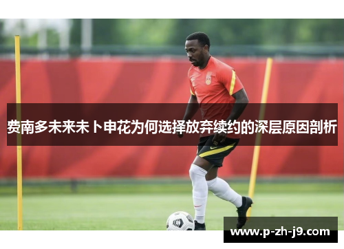 费南多未来未卜申花为何选择放弃续约的深层原因剖析