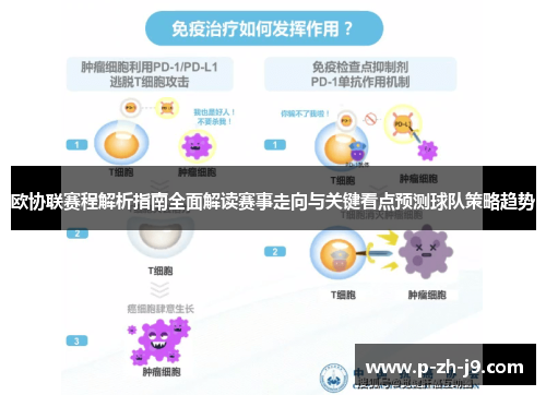欧协联赛程解析指南全面解读赛事走向与关键看点预测球队策略趋势