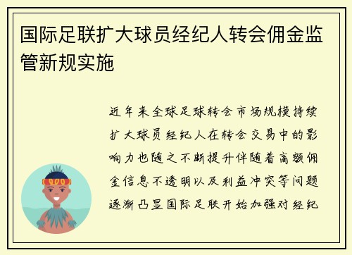 国际足联扩大球员经纪人转会佣金监管新规实施 国际足联扩大球员经纪人转会佣金监管新规实施